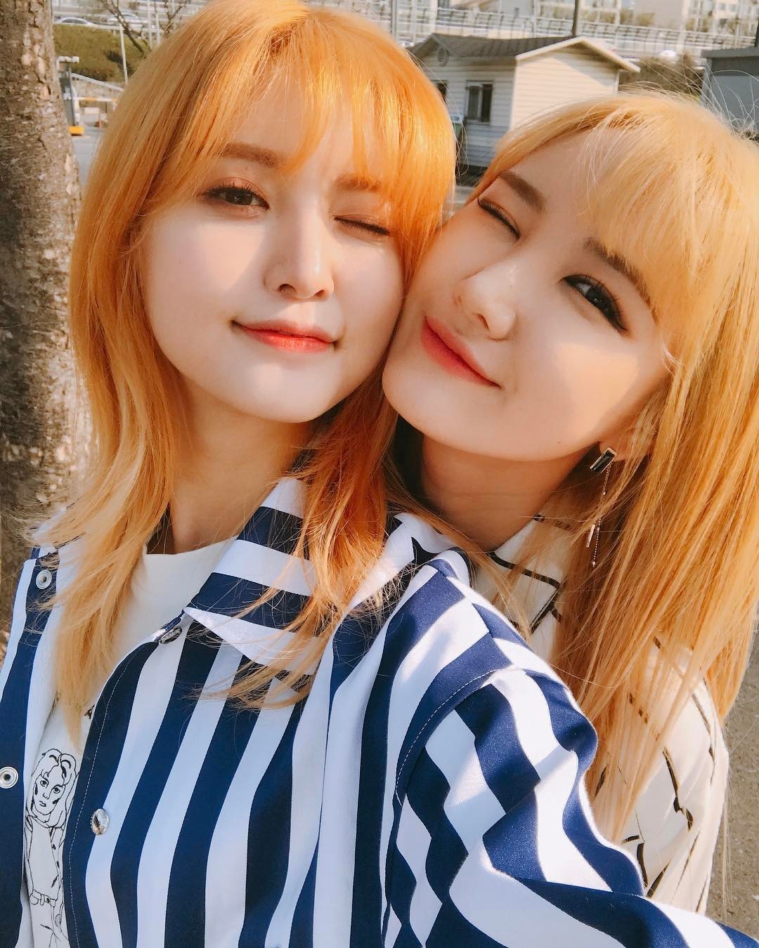 [exid][分享]170407 "猫鼠"cp虐狗 正花提醒回归倒计时三天