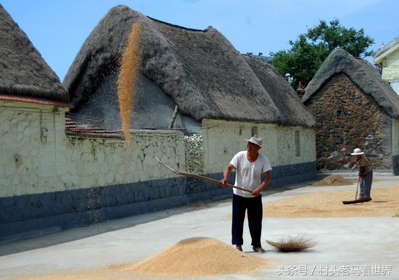 威海海草房,胶东半岛的特色民居,宛如童话世界