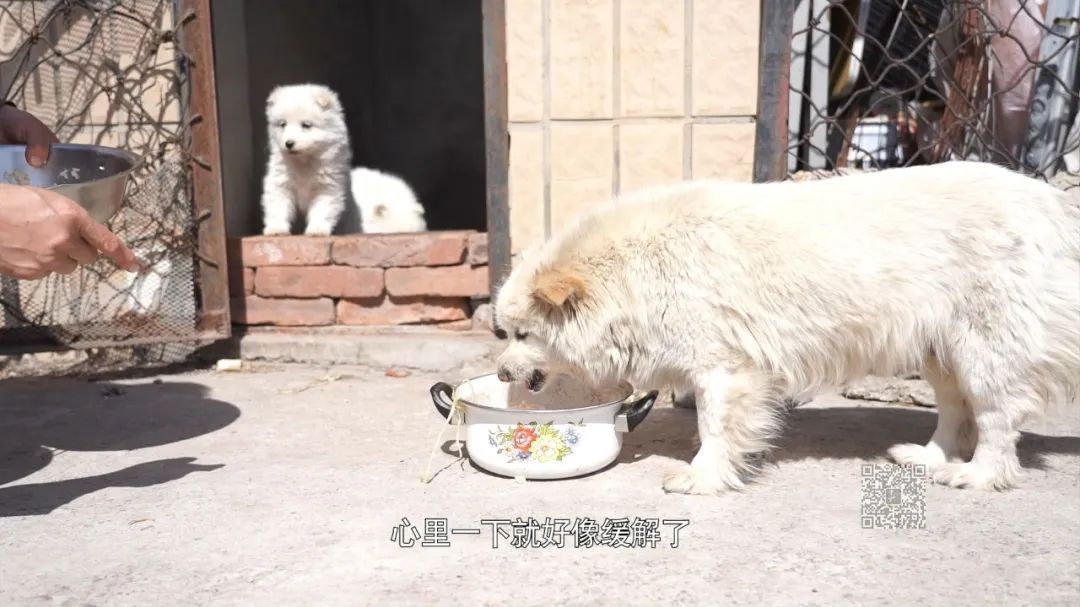 孤独瞭望塔上的夫妻哨