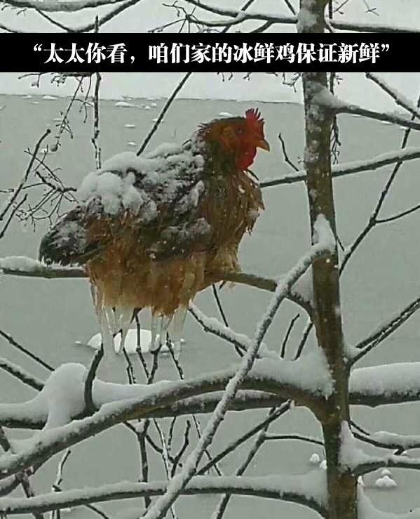 搞笑囧图:刚才还一起玩的伙伴,突然阴阳相隔