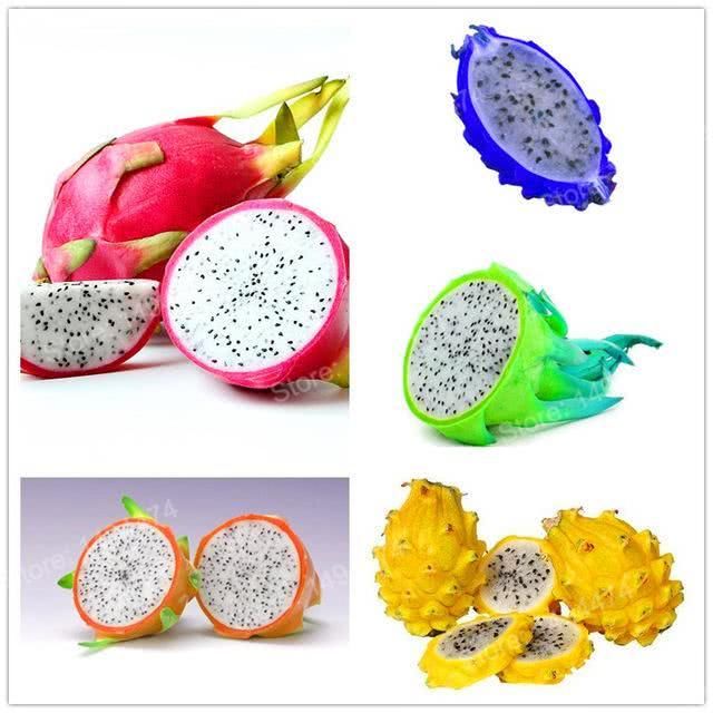 女子吃火龙果吃出条蛇!这些关于火龙果的冷知