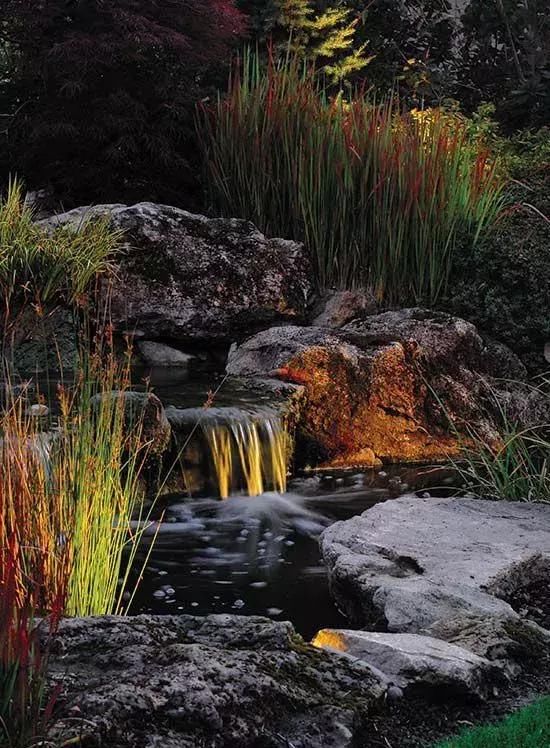 家庭园艺|庭院花园里的自然水池,这样来做 水景