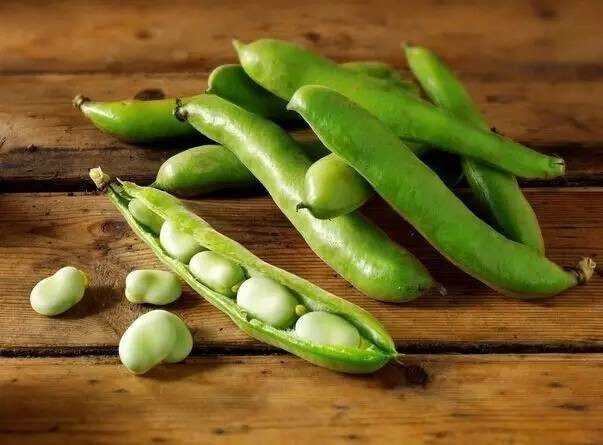 春天别错过这8种蔬菜!降脂防癌错过要再等一年