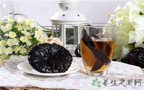 灵芝和什么煲汤好