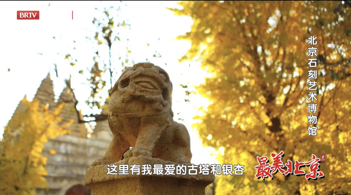 探寻最美北京——五塔寺古塔银杏辉映京秋