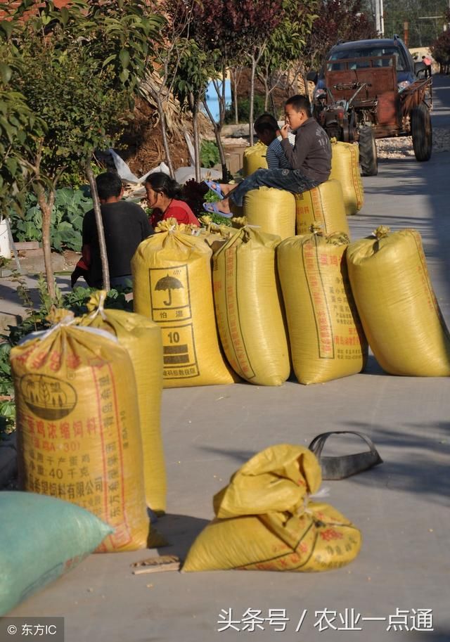 农民朋友:今年粮食补贴一亩地多少钱?啥时候发