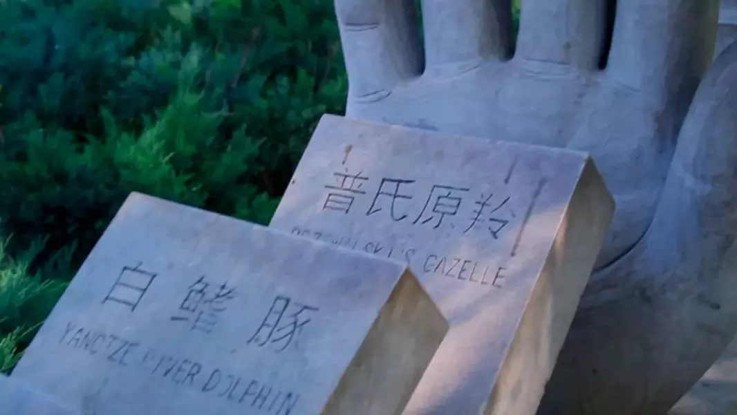 从“灭绝”到“重生”,这里书写了中国拯救濒危动物史上的传奇 从“灭绝”到“重生”,这里书写了中国拯救濒危动物史上的传奇