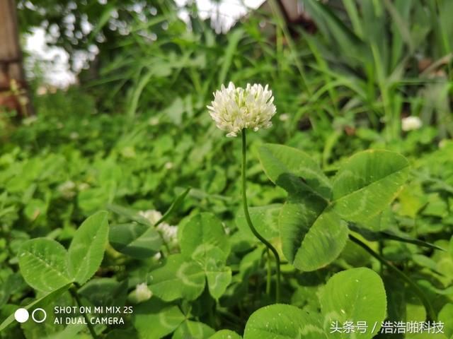 你可能需要一个这样的手机小米MIX2s手机简介