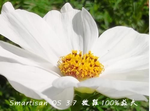 锤子坚果Pro系统更新至3.7之后,拍照成像大变