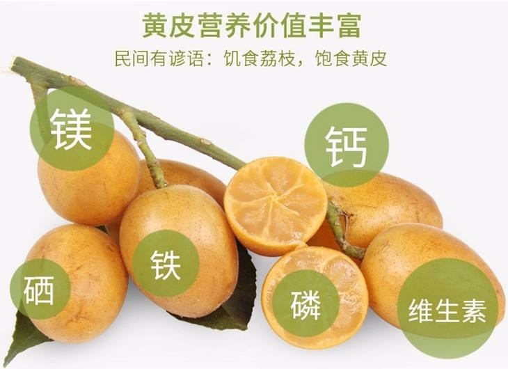 唐三镜果酒技术:营养丰富的鸡心黄皮果是怎样酿成酒?