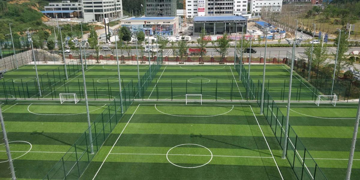 北京体育大学联合创办的中国足球运动学院西南