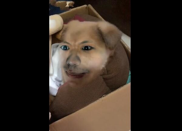 狗狗的头被整成人脸,人脸狗的身体,这特效够恐怖