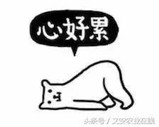 各省市2018年高考成绩查询时间已公布!谨防野