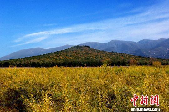 陕西秦始皇陵控制地带要建酒店引热议 官方回应(图1) 陕西秦始皇陵控制地带要建酒店引热议 官方回应(图1)