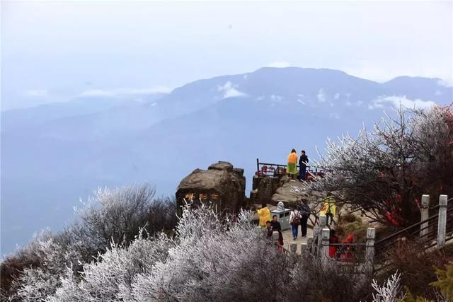 清明小长假峨眉山景区客流实时播报(内附金顶