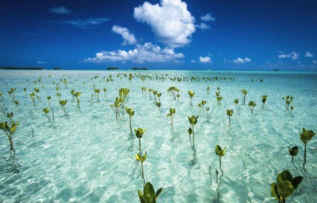 这个落地签国家媲美斐济,却即将沉入海底!