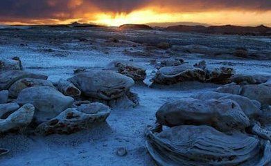 1962昆仑山螳螂人之谜,昆仑山螳螂人是真的吗