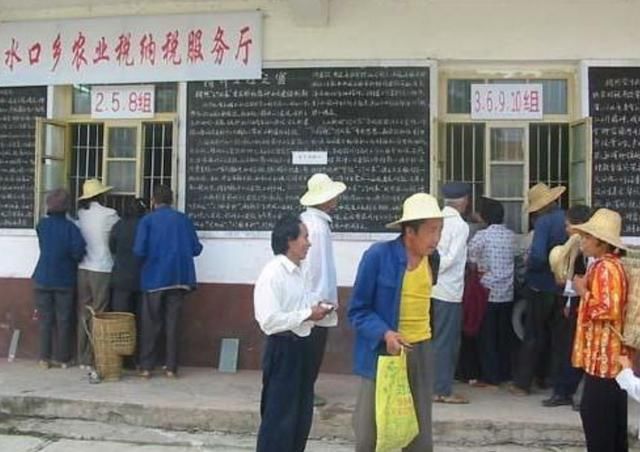 农村养殖要交税了,税收额度还不低,农民早知道