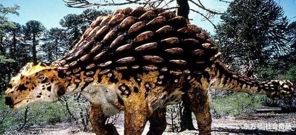 原来霸王龙还是最弱的生物,这个恐龙一锤子就搞定霸王龙!