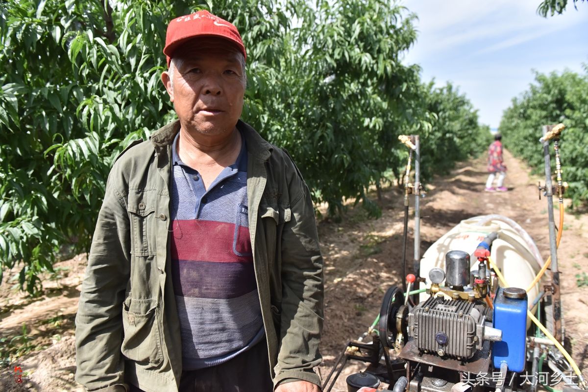 61岁农民发明果树喷药神器,效率提高5倍可一机