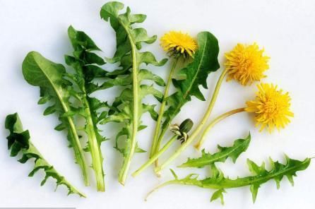 21岁女孩忽然晕倒尽查出糖尿病,都因太爱吃它