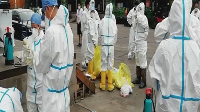 《众志成城 防控疫情》20200713锁定新发地的22小时