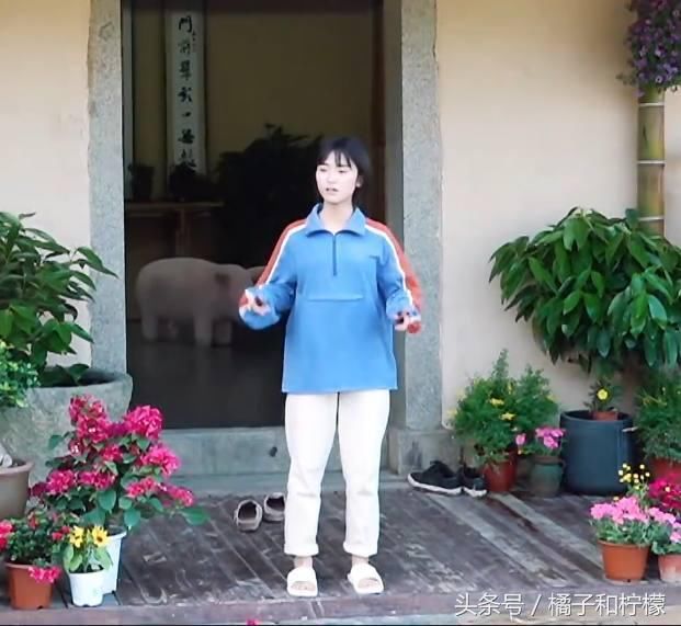 沈月的这个问题,黄磊和彭昱畅的回答得0分,而