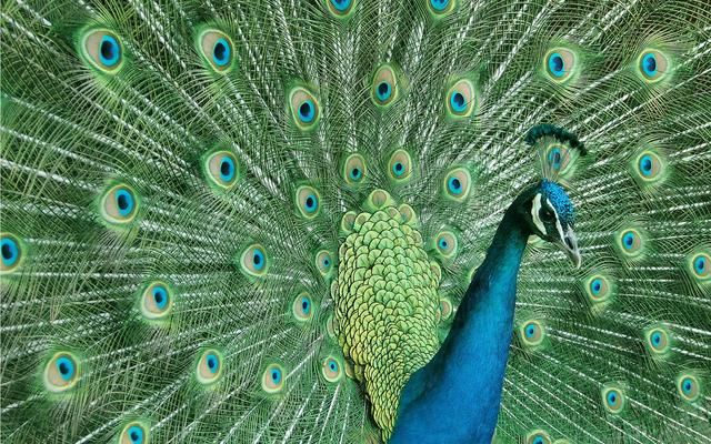 9岁女孩性早熟,原因竟是学了拉丁舞!