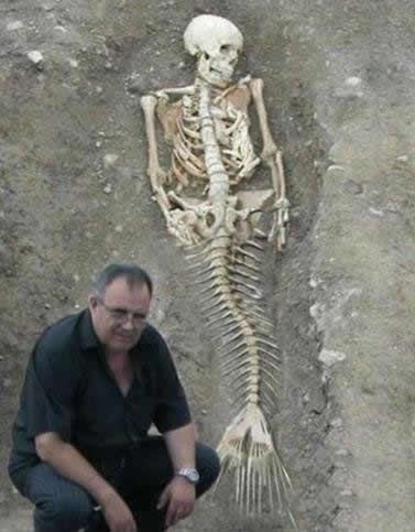 世界上真的有美人鱼吗:美人鱼真身图片长什么