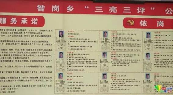 河南一乡政府公示干部电话非本人 回应:善意谎言