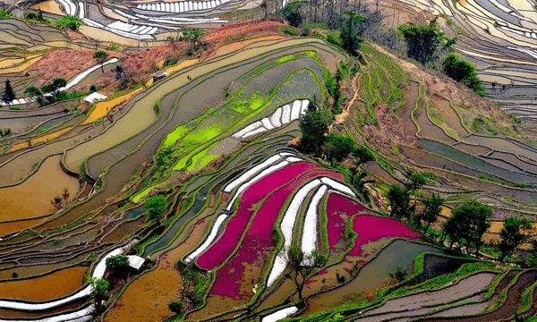 休闲农业策划专家教你确定养生养老休闲农业产