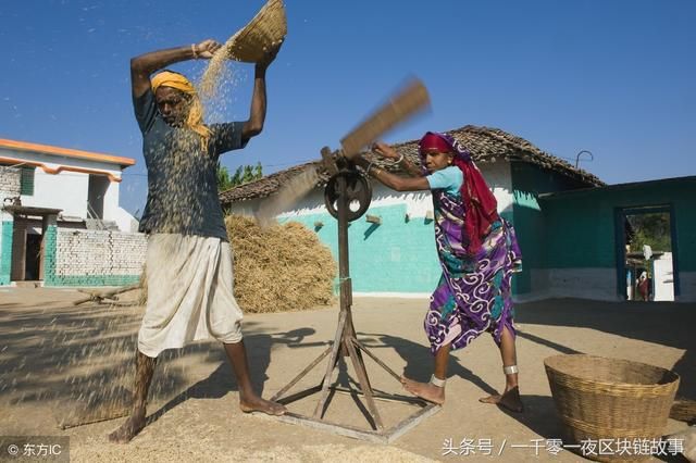 你还用区块链挖虚拟币?印度早用其发展农业!还