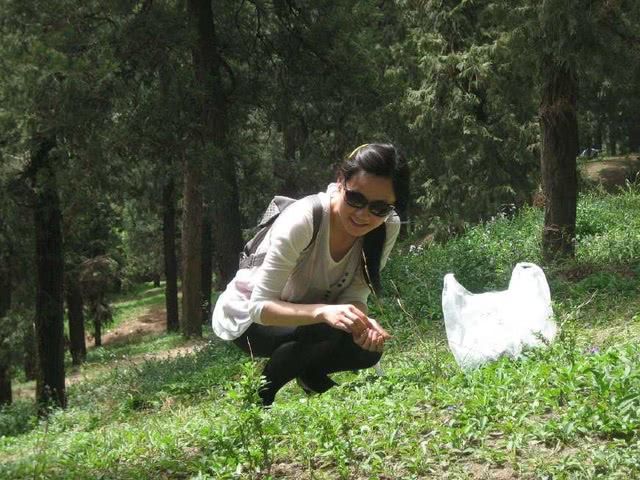 医生不会告诉你,它是胃病的克星,尤其人至中