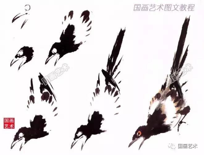 教程 | 写意禽鸟之喜鹊的画法解析