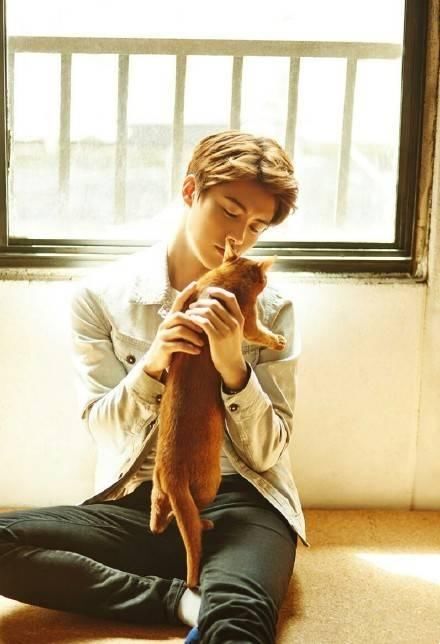 人不如猫系列:胡歌刘亦菲杨幂马天宇肖战等明