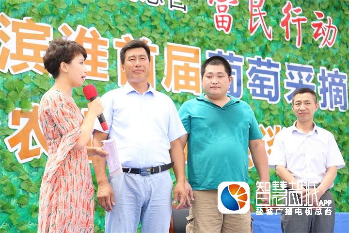 小葡萄串起富民大梦想,滨海滨淮首届葡萄采摘