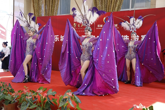 乐城杯星光大道石家庄地区选拔赛新闻发布会