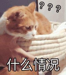 山西一黑车司机强行认亲 参加不存在的“婚礼”(图1) 山西一黑车司机强行认亲 参加不存在的“婚礼”(图1)