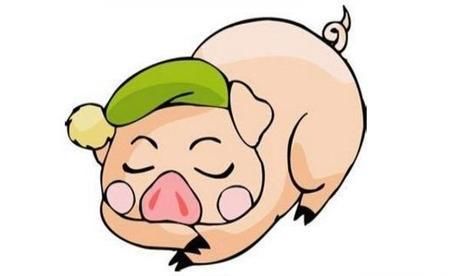 1983年属猪人一生运势如何