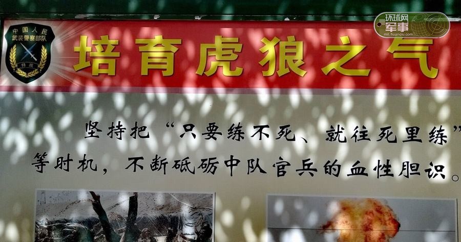 他们就是——驻守在反恐一线的武警新疆总队四支队特勤中队!