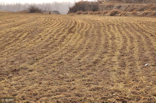 出嫁女儿能把娘家土地确权到自家名下吗?