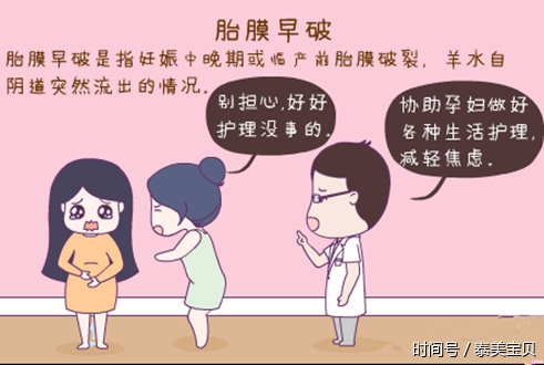 试管婴儿胚胎移植越多越好吗?