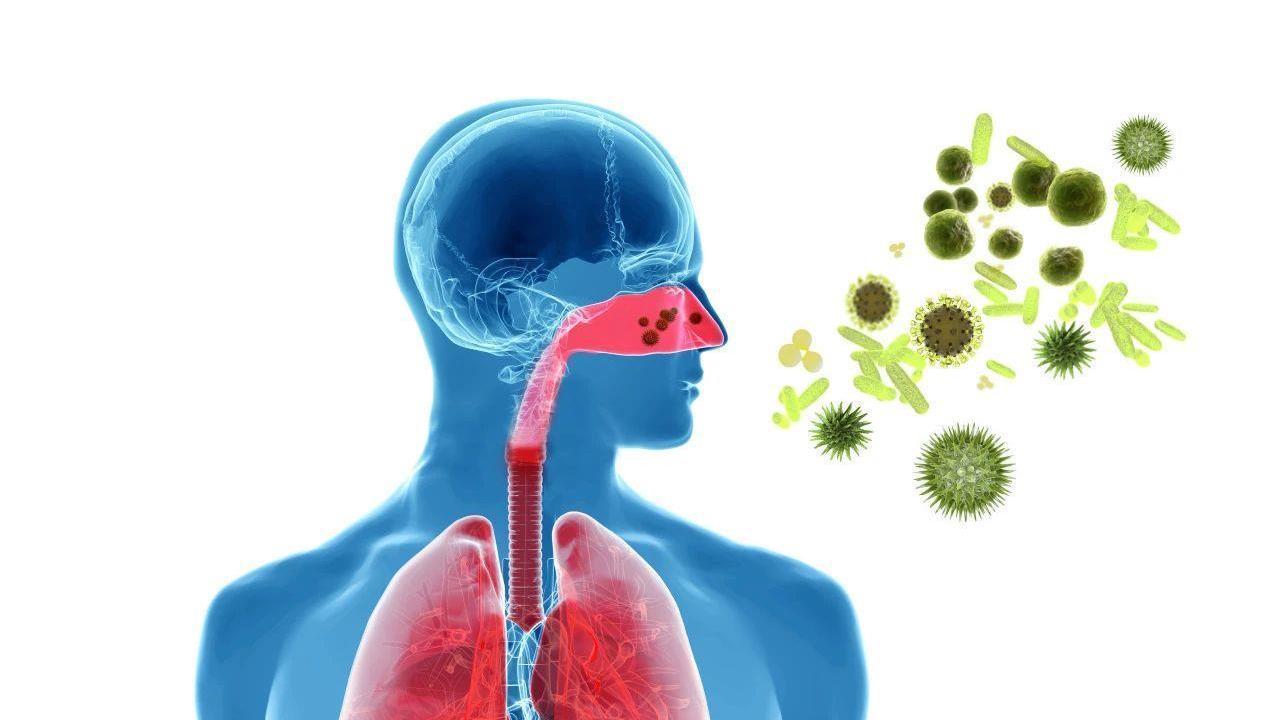 春季花粉过敏高发 “过敏星人”如何有效防护和应对？