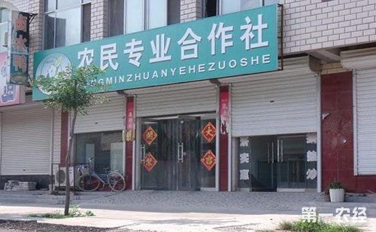 农村合作社农业政策补贴怎么申请?农业补贴申