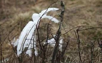 丹东最美女法医作为大龄剩女,我的主业是相亲