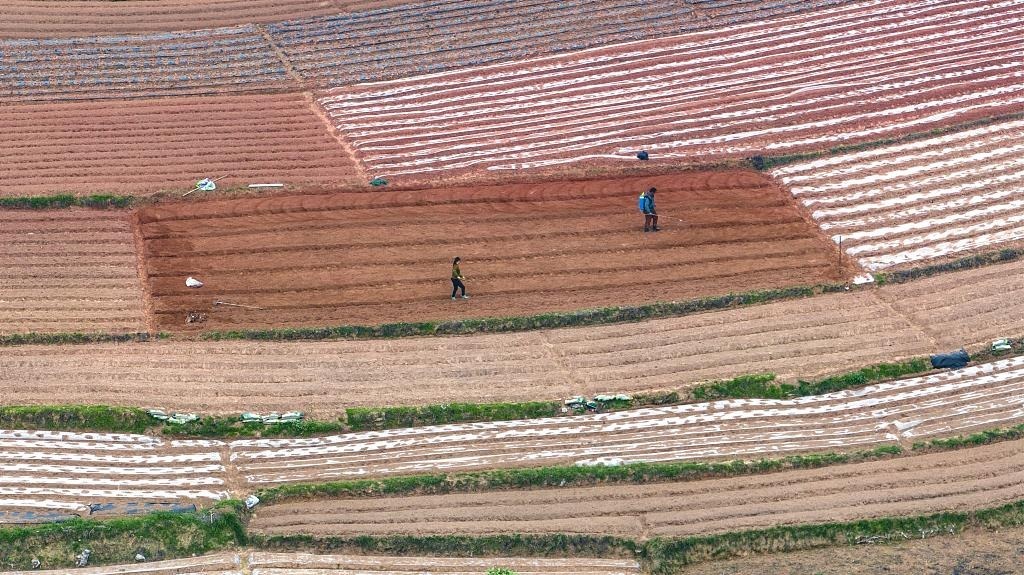 春耕时节，广西南宁市邕宁区蒲庙镇新生村，农民们正在抢抓农时做好春耕备耕，从高空俯瞰，一块块线条优美的田地犹如大地调色板。
