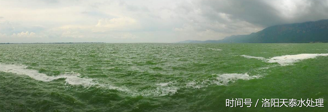 污水处理监管升级!洛阳2017水污染防治攻坚战