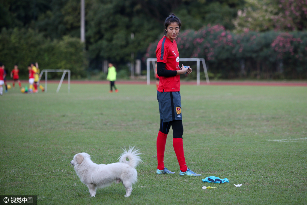 2015年11月27日，广东省广州市，2015女足友谊赛前瞻，训练间歇的赵丽娜遭遇小狗。