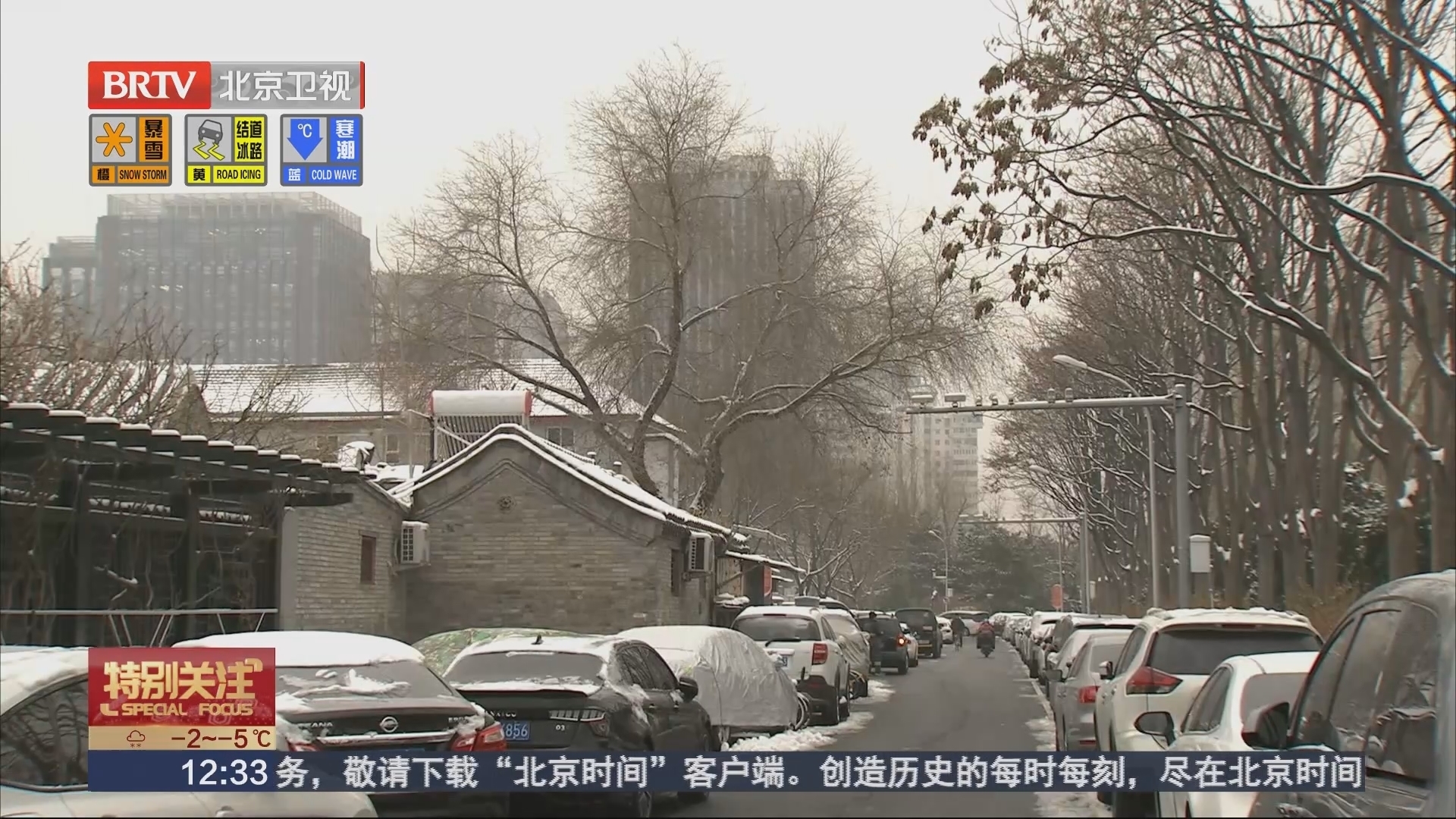 大雪来临 园林工人抢险为古树除雪