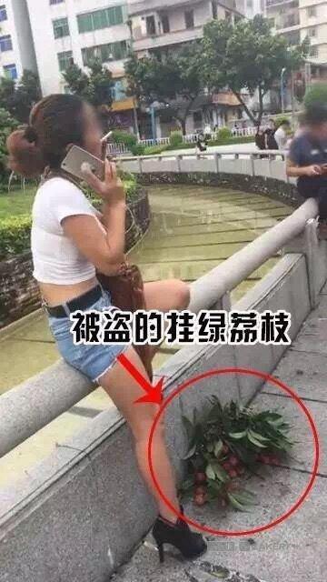 天价挂绿荔枝50多万一颗 女子偷摘一大把开吃?